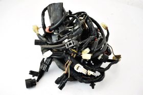 Kawasaki KLV 1000 04 06 Original complete electrical system, dual coil version